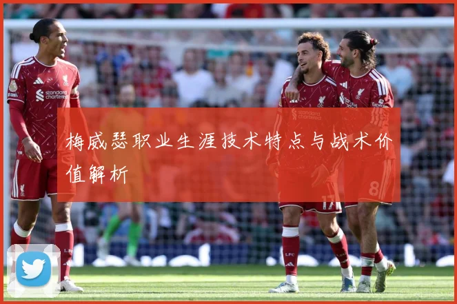 梅威瑟职业生涯技术特点与战术价值解析