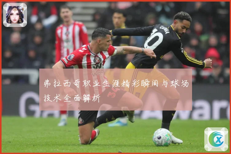 弗拉西奇职业生涯精彩瞬间与球场技术全面解析