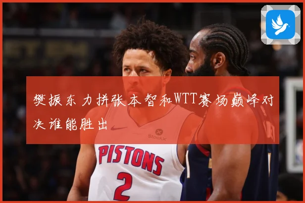 樊振东力拼张本智和WTT赛场巅峰对决谁能胜出