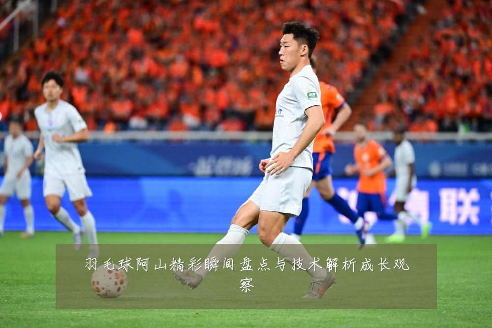 羽毛球阿山精彩瞬间盘点与技术解析成长观察
