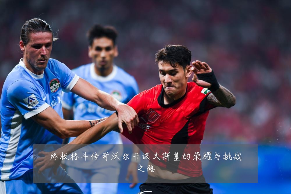 终极格斗传奇沃尔卡诺夫斯基的荣耀与挑战之路